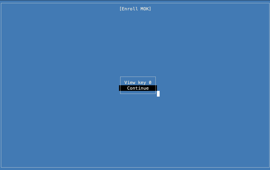 VM serial console MOK management screen with 'Continue' selected