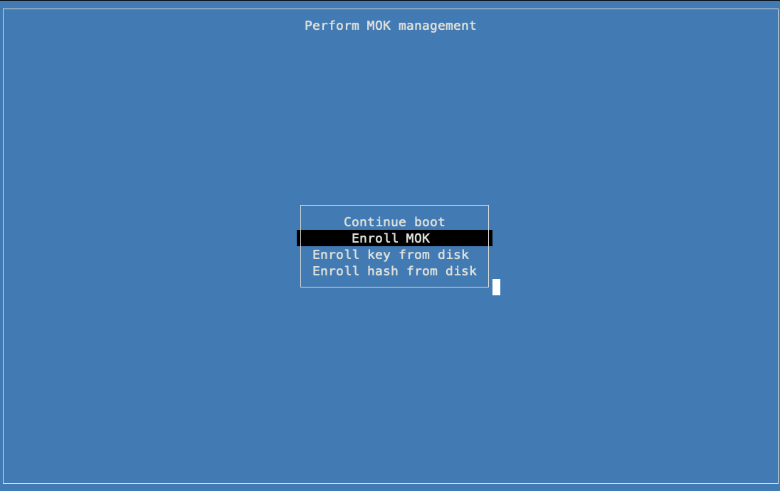 VM serial console MOK management screen with 'Enroll MOK' highlighted