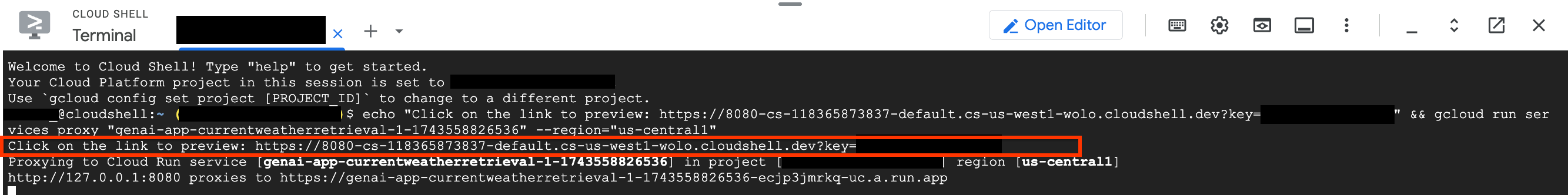 Local access link in Cloud Shell