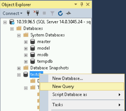 For testdb, select New Query